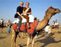  Camello Safari Tour