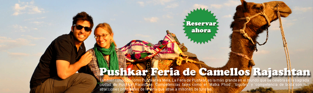Pushkar Feria de Camellos Rajasthan