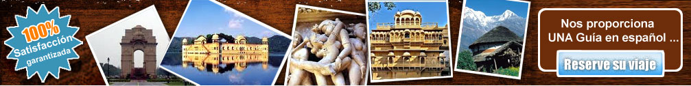 India Paquetes de Hotel