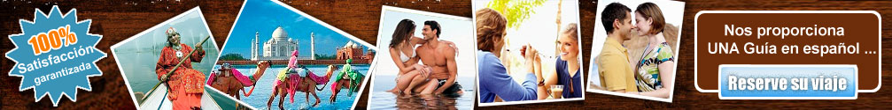 Paquetes De Luna De Miel En India