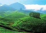 Munnar