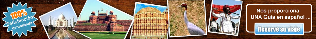 Paquetes de Viajes desde Delhi