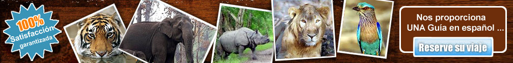 Paquetes Tour Vida Salvaje En India