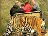 Viajes Ranthambore