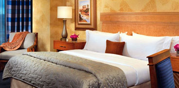 Mansingh Palace Hotel Agra